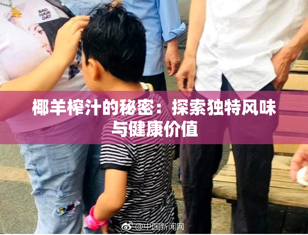 椰羊榨汁的秘密：探索独特风味与健康价值