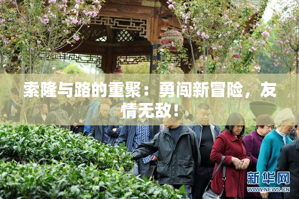 索隆与路的重聚：勇闯新冒险，友情无敌！