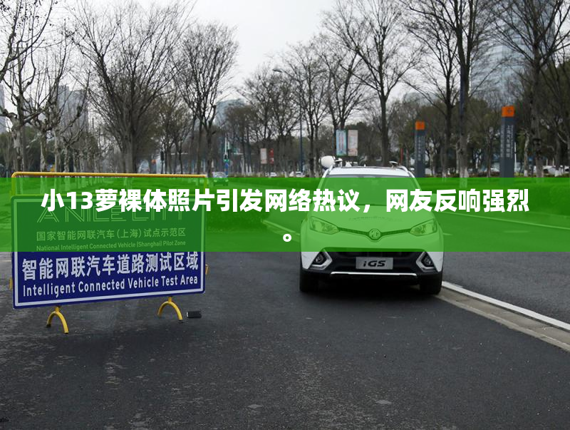 小13萝裸体照片引发网络热议，网友反响强烈。