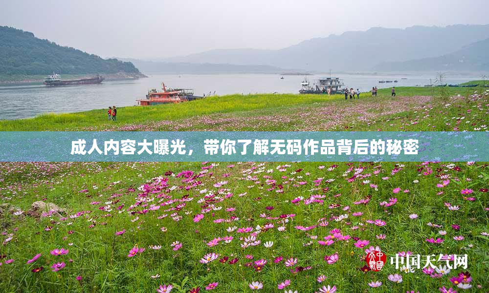 成人内容大曝光，带你了解无码作品背后的秘密