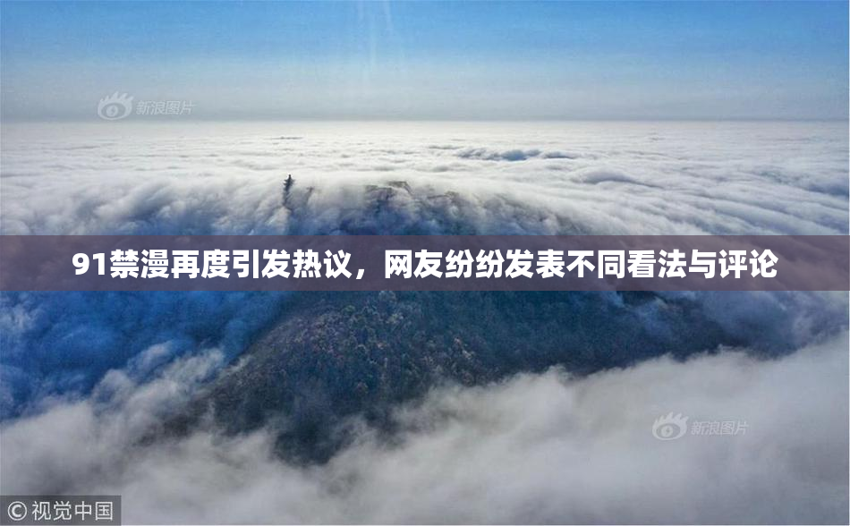 91禁漫再度引发热议，网友纷纷发表不同看法与评论