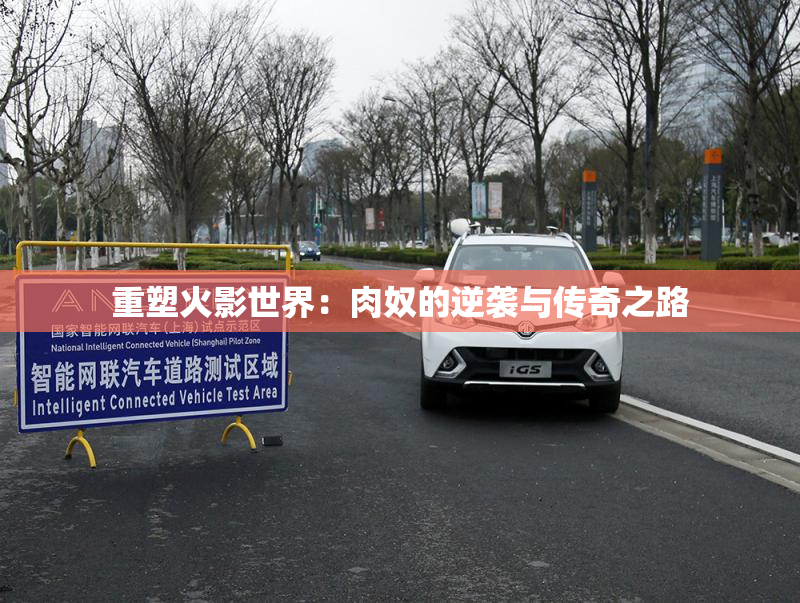 重塑火影世界：肉奴的逆袭与传奇之路