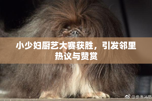 小少妇厨艺大赛获胜，引发邻里热议与赞赏