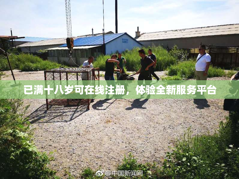 已满十八岁可在线注册，体验全新服务平台