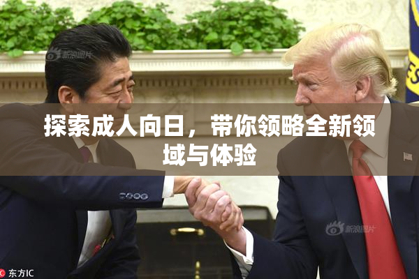 探索成人向日，带你领略全新领域与体验