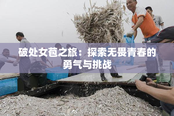 破处女苞之旅：探索无畏青春的勇气与挑战