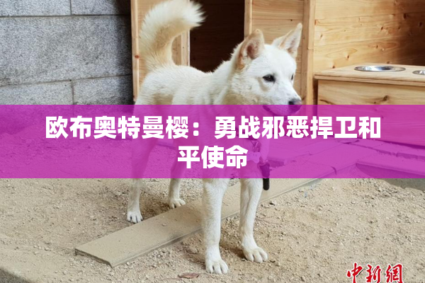 欧布奥特曼樱：勇战邪恶捍卫和平使命