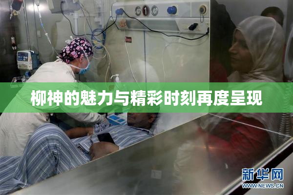 柳神的魅力与精彩时刻再度呈现