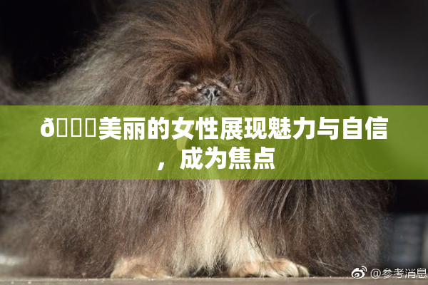 🔞美丽的女性展现魅力与自信，成为焦点