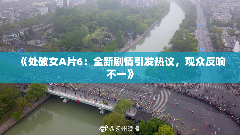 《处破女A片6：全新剧情引发热议，观众反响不一》