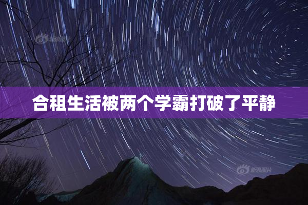 合租生活被两个学霸打破了平静