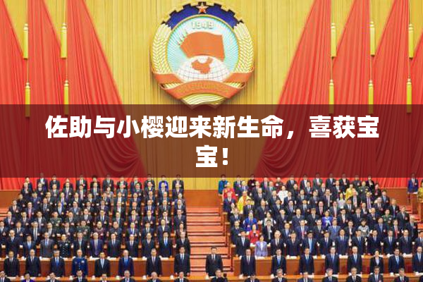 佐助与小樱迎来新生命，喜获宝宝！