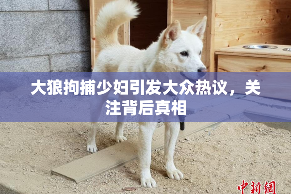 大狼拘捕少妇引发大众热议，关注背后真相