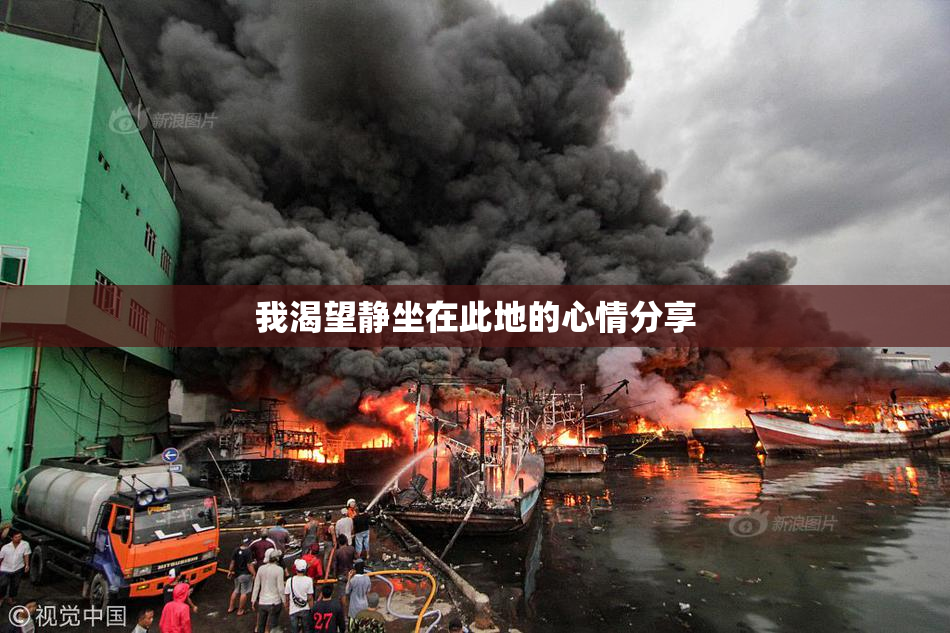 我渴望静坐在此地的心情分享