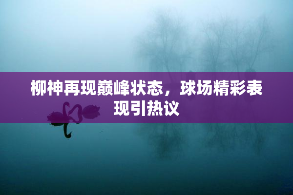 柳神再现巅峰状态，球场精彩表现引热议