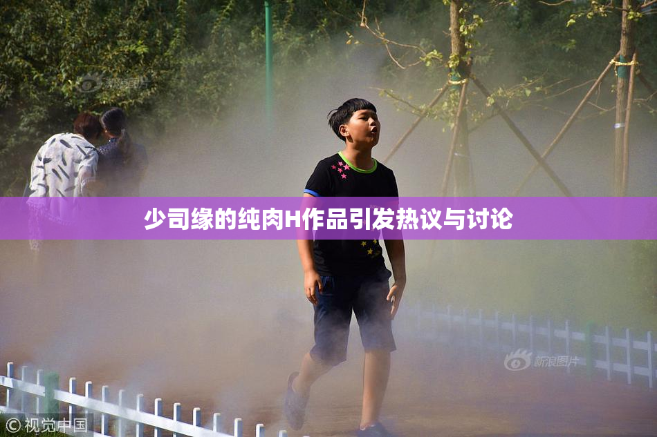 少司缘的纯肉H作品引发热议与讨论