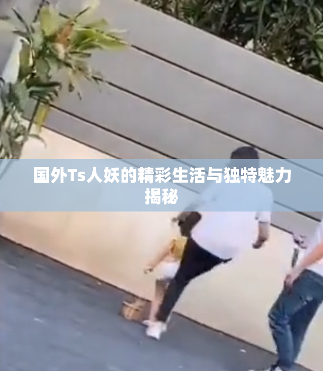 国外Ts人妖的精彩生活与独特魅力揭秘
