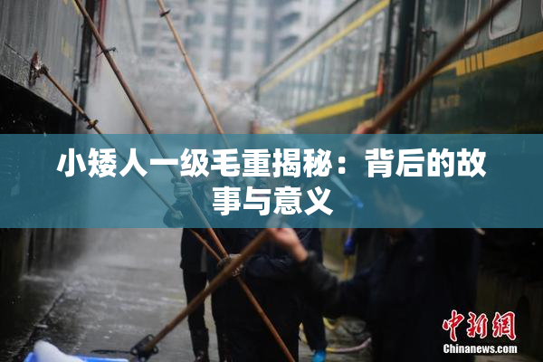 小矮人一级毛重揭秘：背后的故事与意义