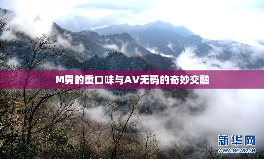 M男的重口味与AV无码的奇妙交融