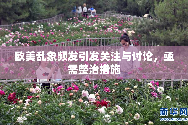 欧美乱象频发引发关注与讨论，亟需整治措施