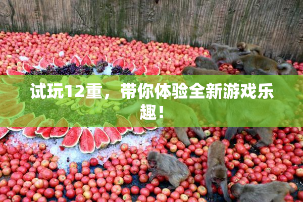 试玩12重，带你体验全新游戏乐趣！
