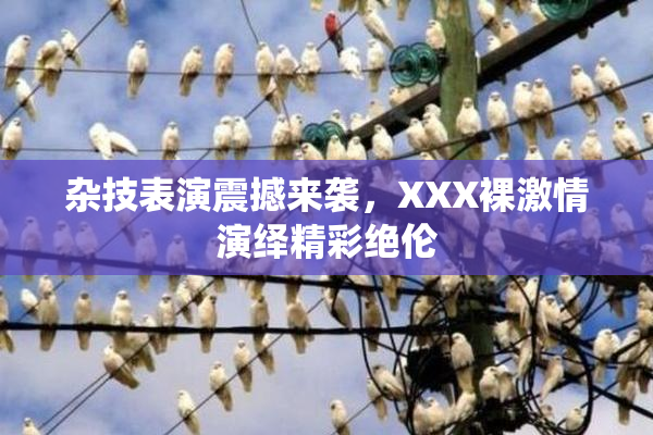 杂技表演震撼来袭，XXX裸激情演绎精彩绝伦