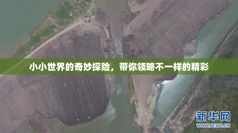 小小世界的奇妙探险，带你领略不一样的精彩