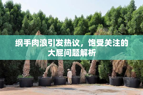 纲手肉浪引发热议，饱受关注的大屁问题解析