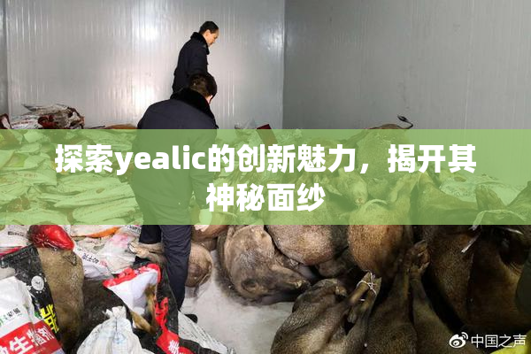 探索yealic的创新魅力，揭开其神秘面纱