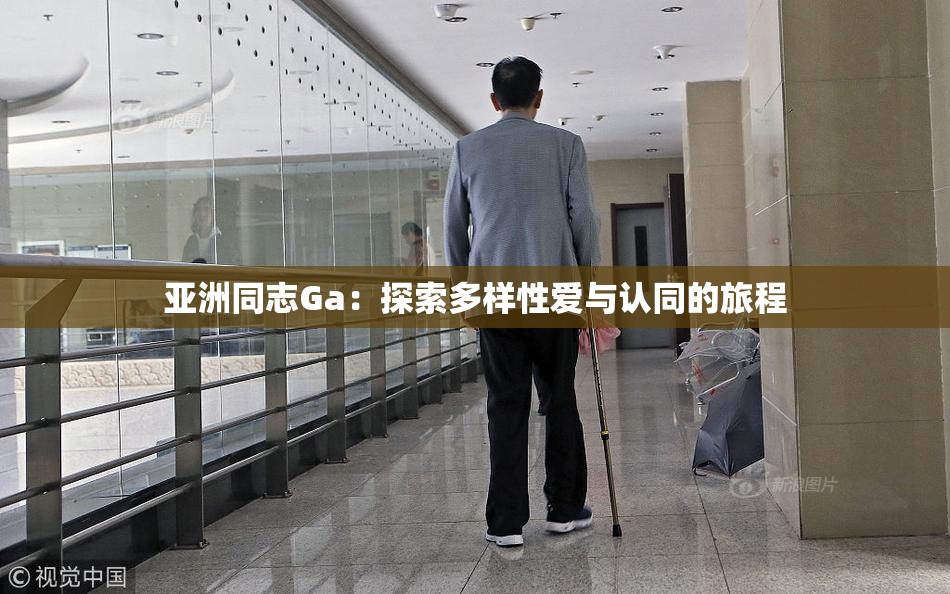 亚洲同志Ga：探索多样性爱与认同的旅程