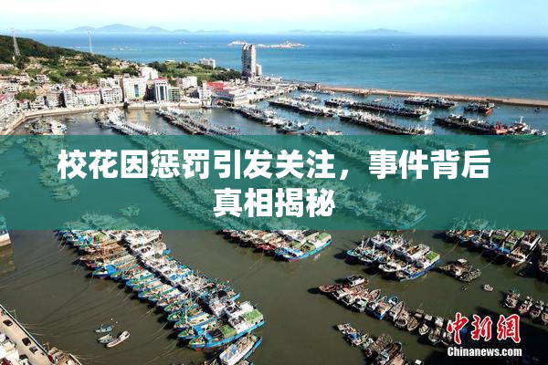 校花因惩罚引发关注，事件背后真相揭秘