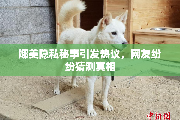 娜美隐私秘事引发热议，网友纷纷猜测真相