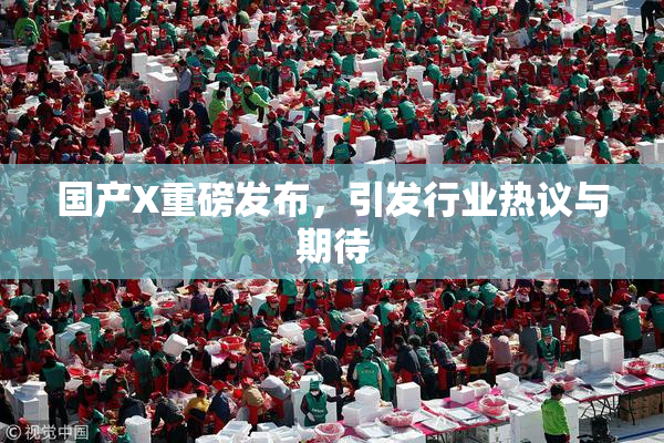 国产X重磅发布，引发行业热议与期待