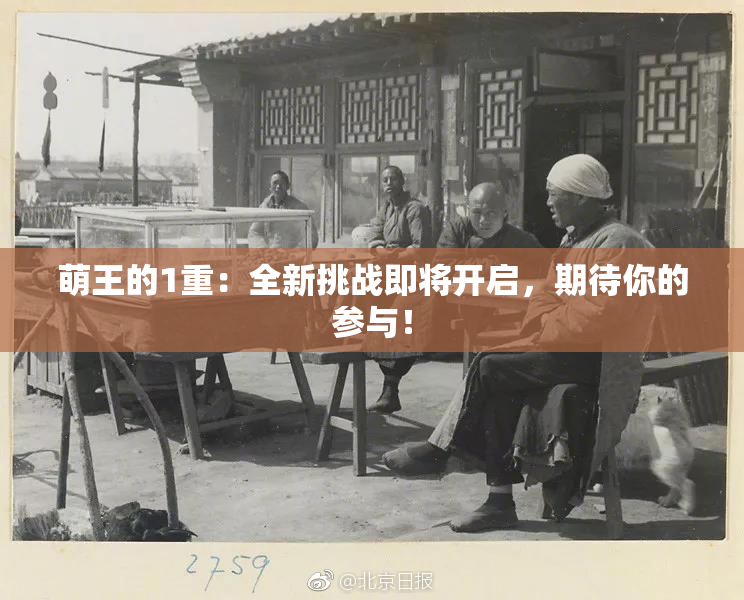 萌王的1重：全新挑战即将开启，期待你的参与！