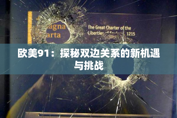 欧美91：探秘双边关系的新机遇与挑战