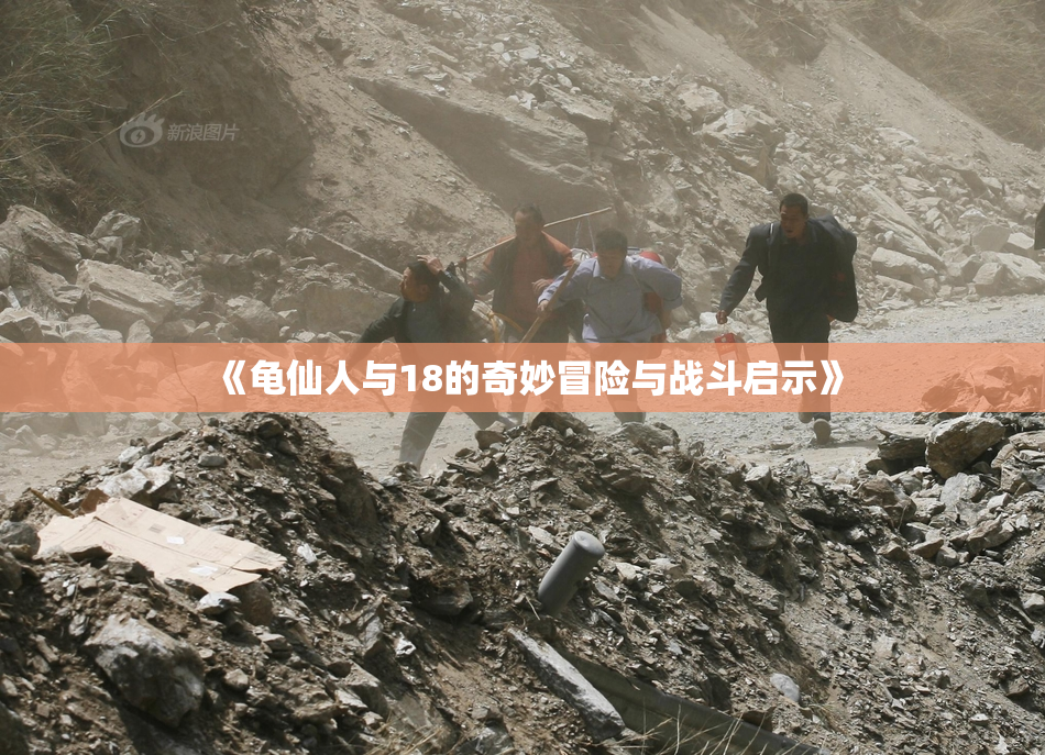 《龟仙人与18的奇妙冒险与战斗启示》