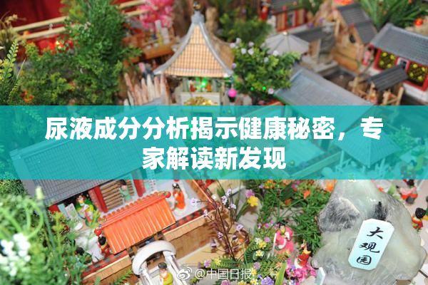 尿液成分分析揭示健康秘密，专家解读新发现