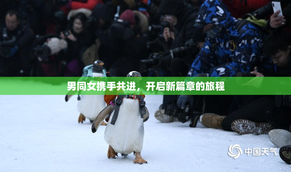 男同女携手共进，开启新篇章的旅程