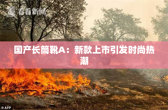 国产长筒靴A：新款上市引发时尚热潮