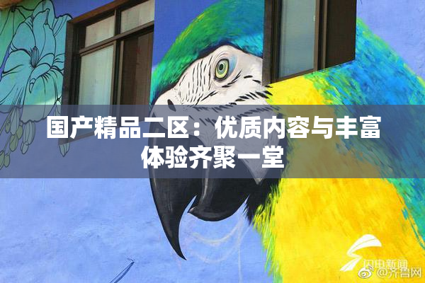 国产精品二区：优质内容与丰富体验齐聚一堂