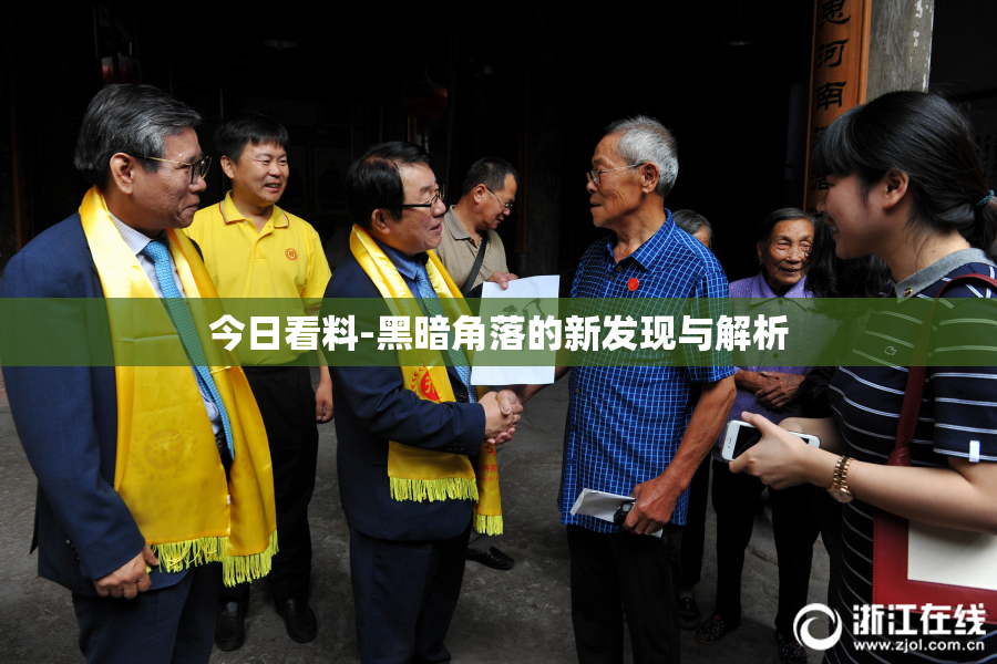 今日看料-黑暗角落的新发现与解析