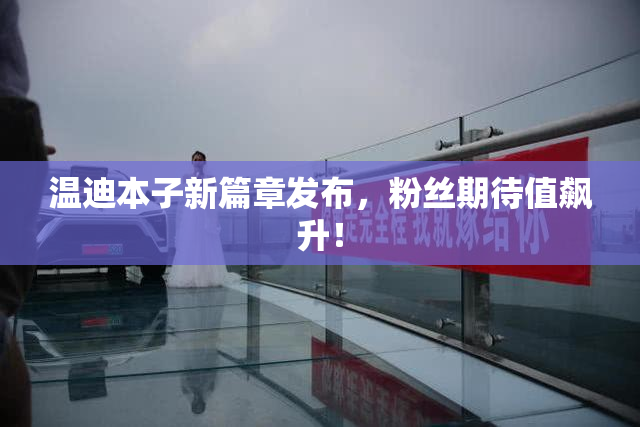 温迪本子新篇章发布，粉丝期待值飙升！