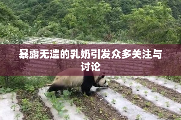 暴露无遗的乳奶引发众多关注与讨论