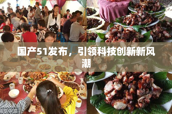 国产51发布，引领科技创新新风潮