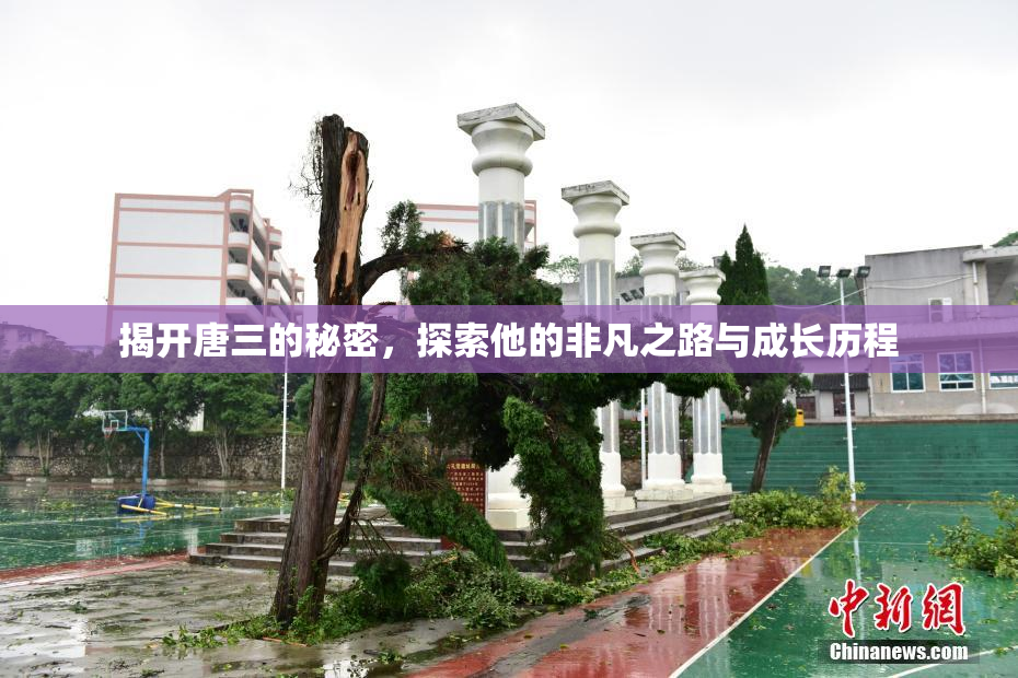 揭开唐三的秘密，探索他的非凡之路与成长历程