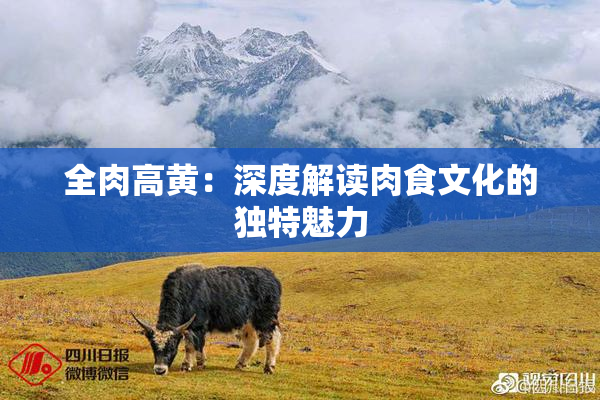 全肉高黄：深度解读肉食文化的独特魅力
