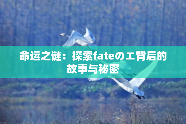 命运之谜：探索fateのエ背后的故事与秘密