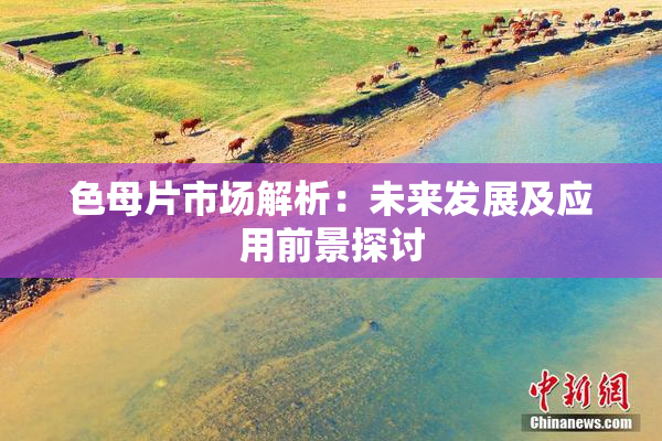 色母片市场解析：未来发展及应用前景探讨