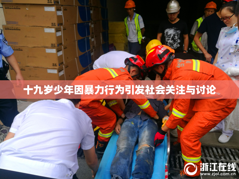 十九岁少年因暴力行为引发社会关注与讨论