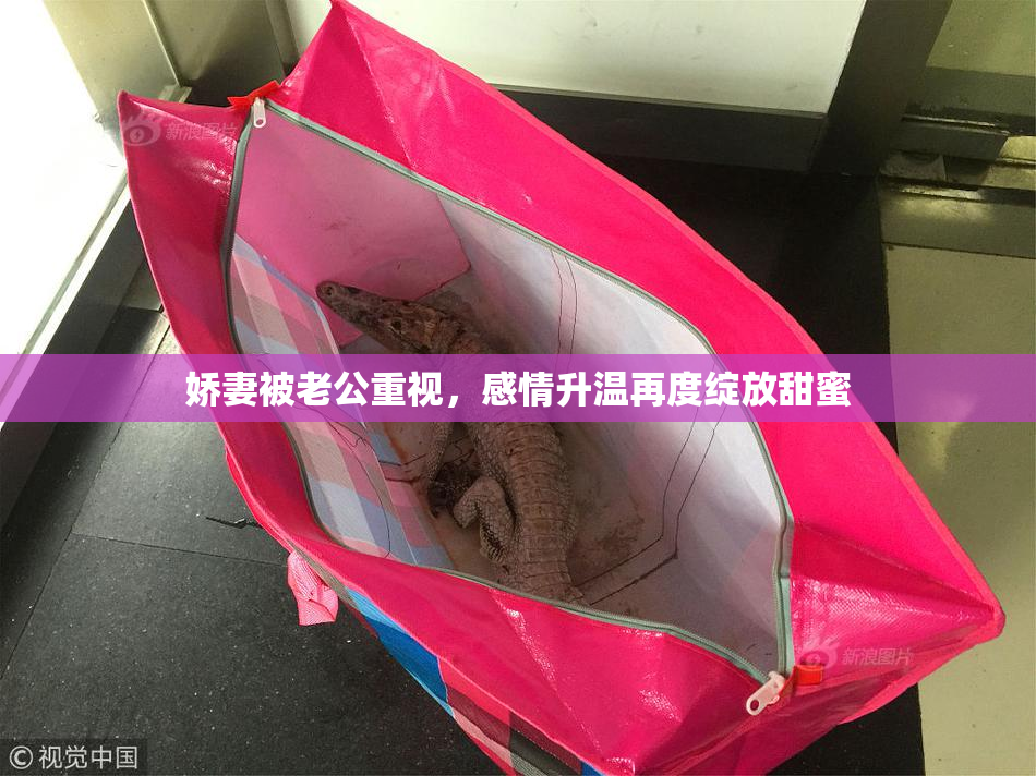 娇妻被老公重视，感情升温再度绽放甜蜜